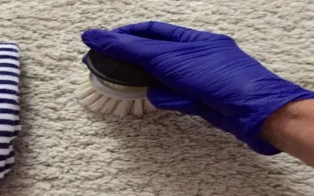Commercial Cleaning Checklist: What Your Business Really Needs?